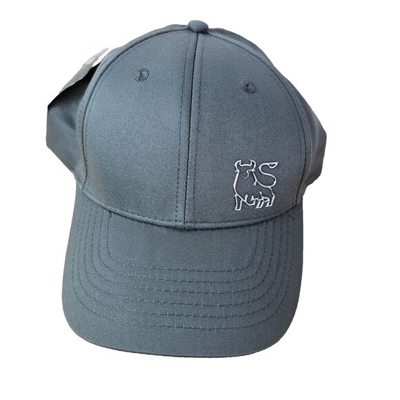 NWT Silver Bull Pro Style Hat Gray‎ Fitted Baseball Cap Taurus Bull Rider BOA - Picture 1 of 9